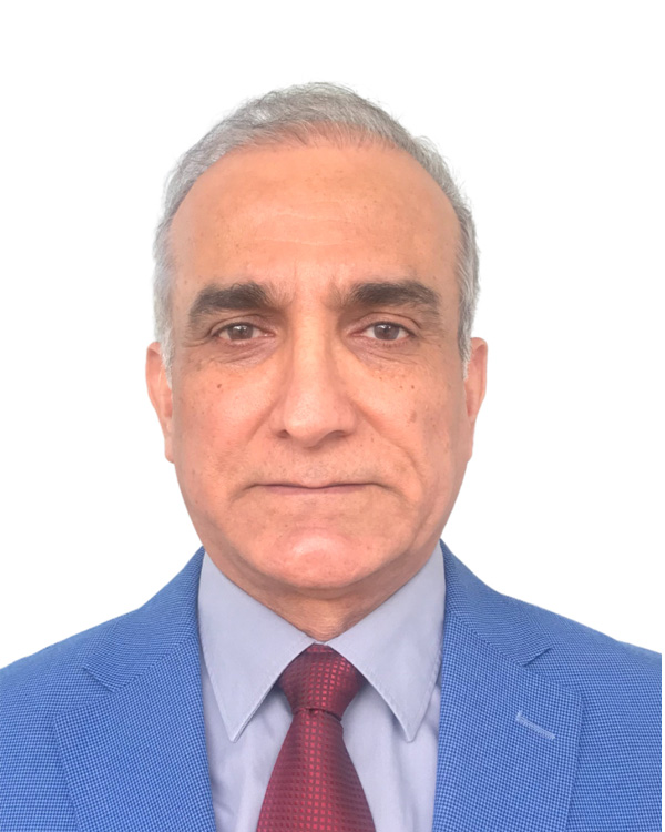 Sudad H Al-Obaidi
